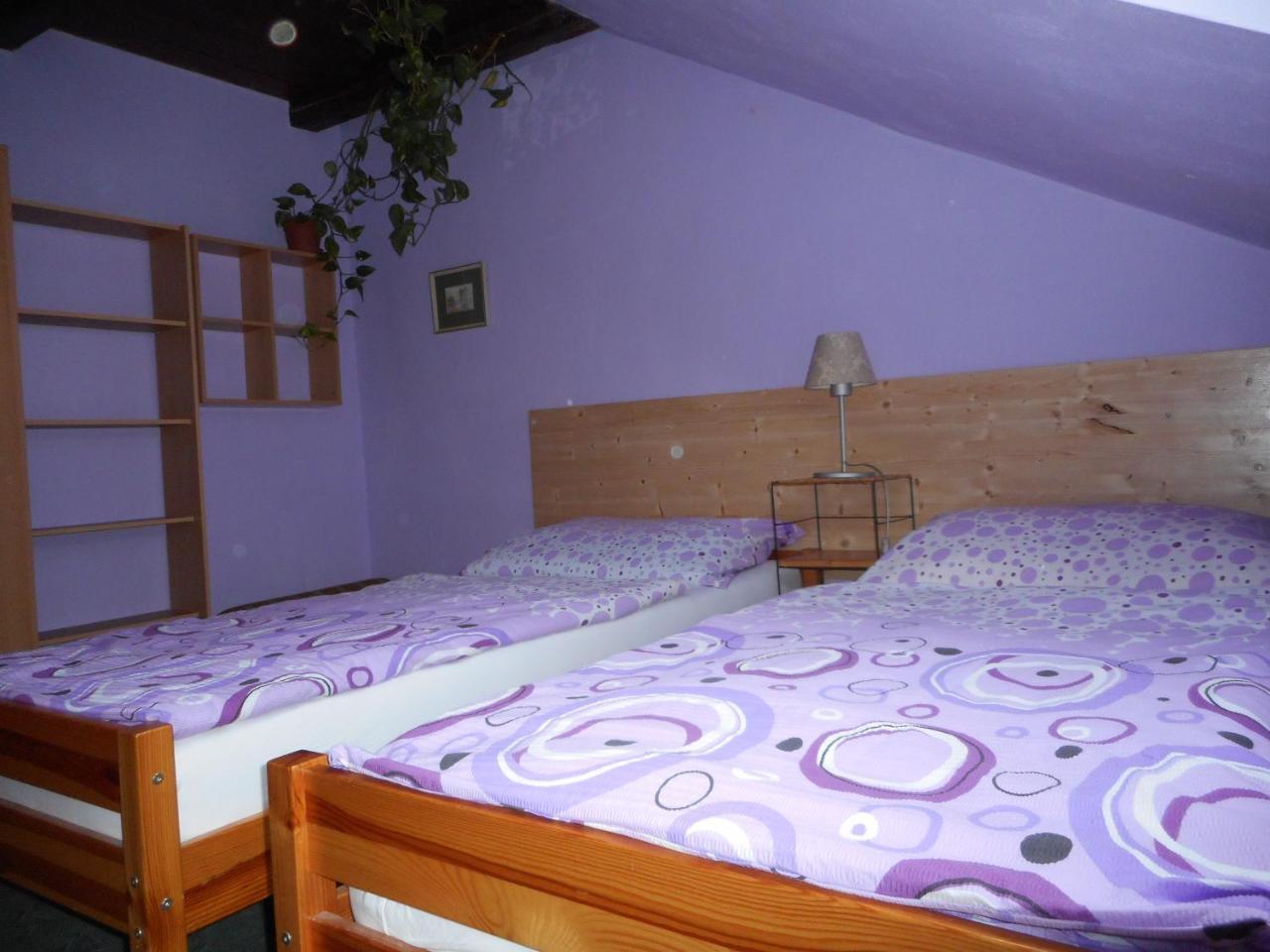 Penzion U Lesa Ceske Budejovice Exterior foto